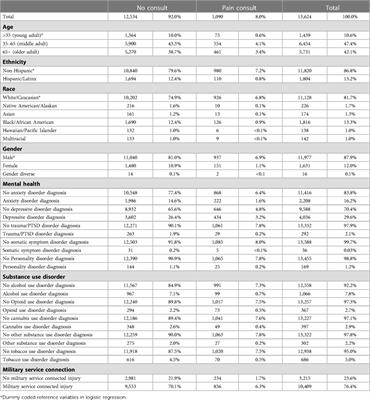 Program Evaluation: exploring health disparities that impact chronic pain referrals within a VA Health Care System